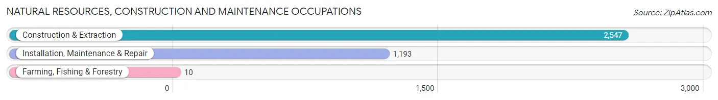 Natural Resources, Construction and Maintenance Occupations in Zip Code 91910