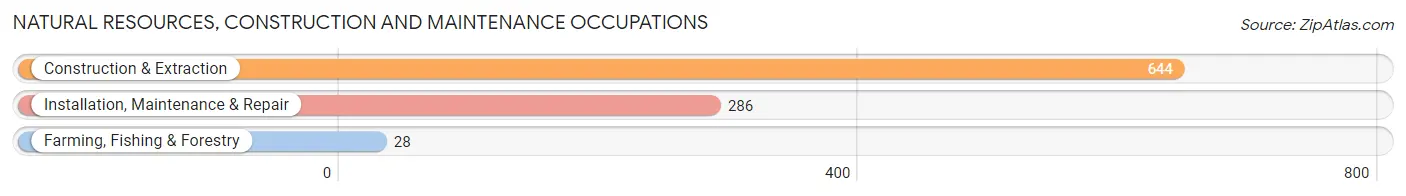 Natural Resources, Construction and Maintenance Occupations in Zip Code 91913