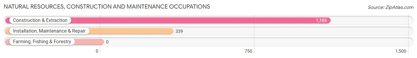 Natural Resources, Construction and Maintenance Occupations in Zip Code 91932