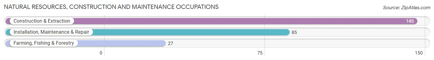 Natural Resources, Construction and Maintenance Occupations in Zip Code 91935