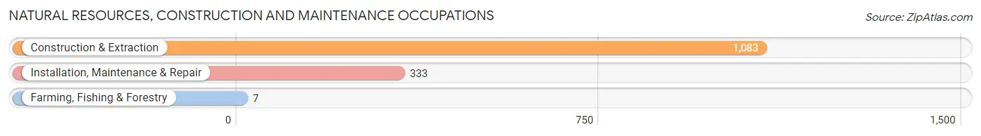 Natural Resources, Construction and Maintenance Occupations in Zip Code 91945