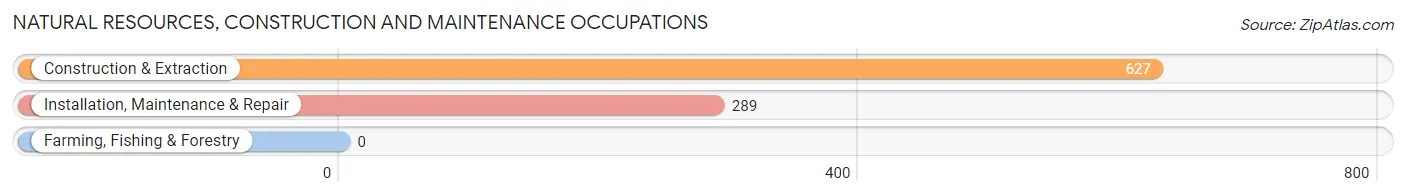 Natural Resources, Construction and Maintenance Occupations in Zip Code 92008