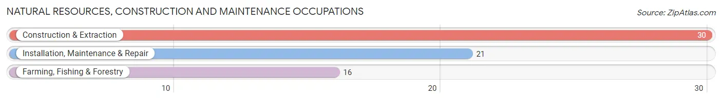 Natural Resources, Construction and Maintenance Occupations in Zip Code 92014