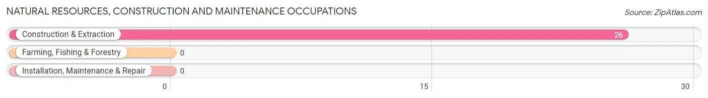 Natural Resources, Construction and Maintenance Occupations in Zip Code 92060