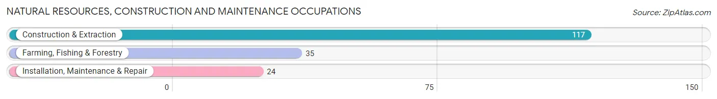 Natural Resources, Construction and Maintenance Occupations in Zip Code 92118