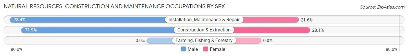 Natural Resources, Construction and Maintenance Occupations by Sex in Zip Code 92127