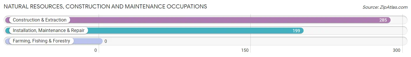 Natural Resources, Construction and Maintenance Occupations in Zip Code 92127