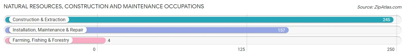 Natural Resources, Construction and Maintenance Occupations in Zip Code 92130