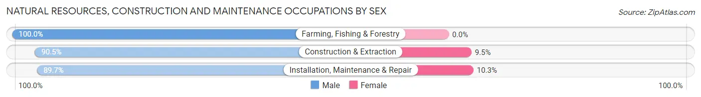 Natural Resources, Construction and Maintenance Occupations by Sex in Zip Code 92131