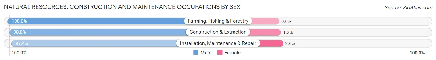 Natural Resources, Construction and Maintenance Occupations by Sex in Zip Code 92220