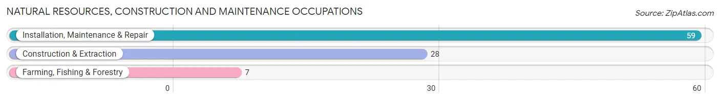 Natural Resources, Construction and Maintenance Occupations in Zip Code 92275