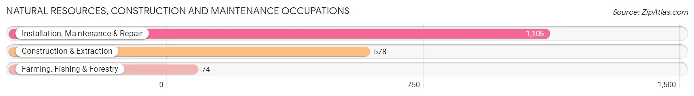 Natural Resources, Construction and Maintenance Occupations in Zip Code 92311