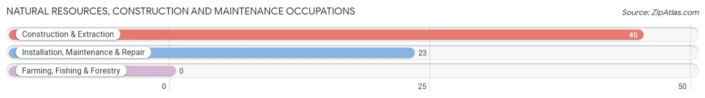 Natural Resources, Construction and Maintenance Occupations in Zip Code 92321