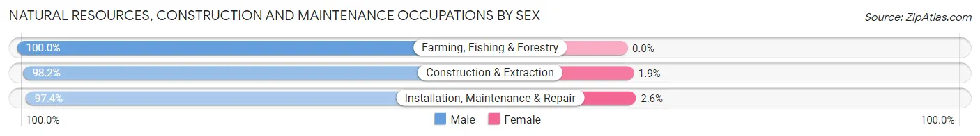Natural Resources, Construction and Maintenance Occupations by Sex in Zip Code 92392