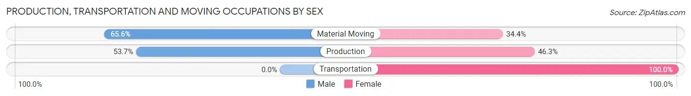 Production, Transportation and Moving Occupations by Sex in Zip Code 92401