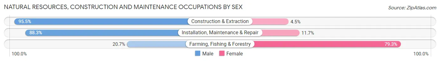 Natural Resources, Construction and Maintenance Occupations by Sex in Zip Code 92407