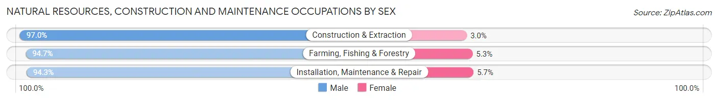Natural Resources, Construction and Maintenance Occupations by Sex in Zip Code 92504