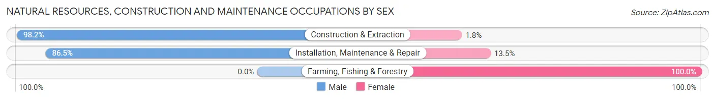 Natural Resources, Construction and Maintenance Occupations by Sex in Zip Code 92582