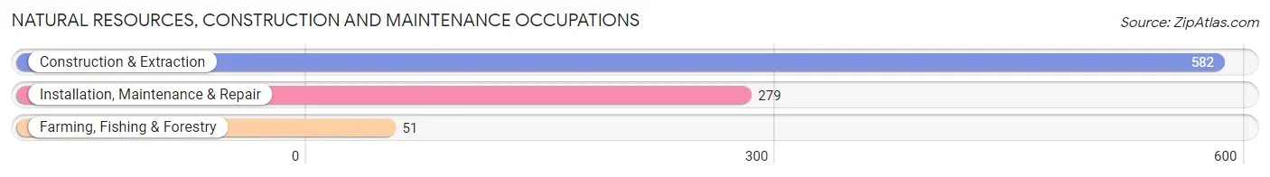 Natural Resources, Construction and Maintenance Occupations in Zip Code 92653