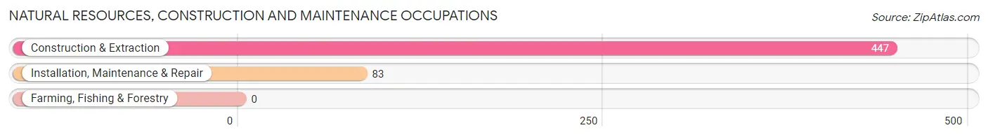 Natural Resources, Construction and Maintenance Occupations in Zip Code 92673