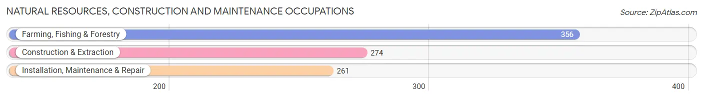 Natural Resources, Construction and Maintenance Occupations in Zip Code 93023