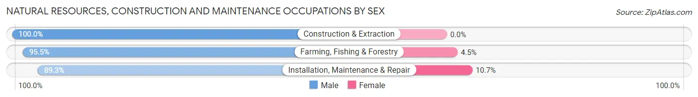 Natural Resources, Construction and Maintenance Occupations by Sex in Zip Code 93066