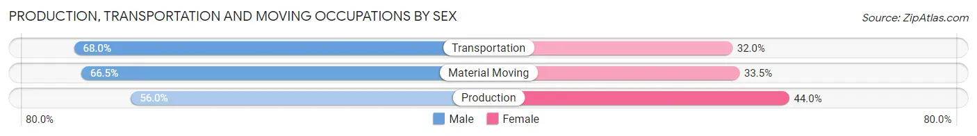 Production, Transportation and Moving Occupations by Sex in Zip Code 93101