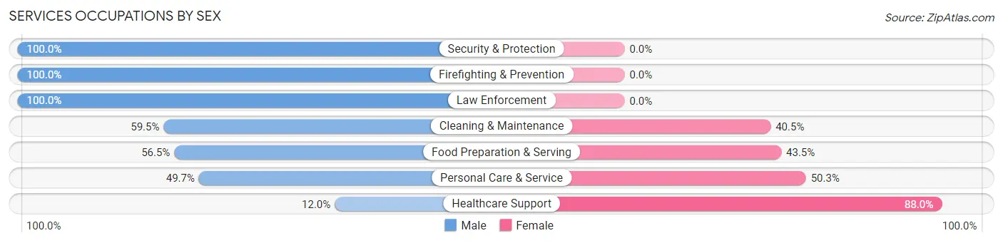 Services Occupations by Sex in Zip Code 93111