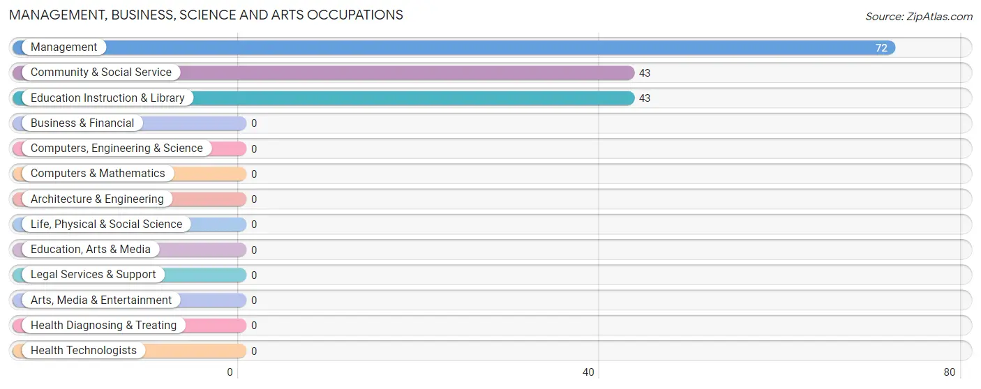 Management, Business, Science and Arts Occupations in Zip Code 93202