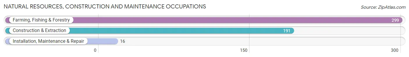 Natural Resources, Construction and Maintenance Occupations in Zip Code 93235