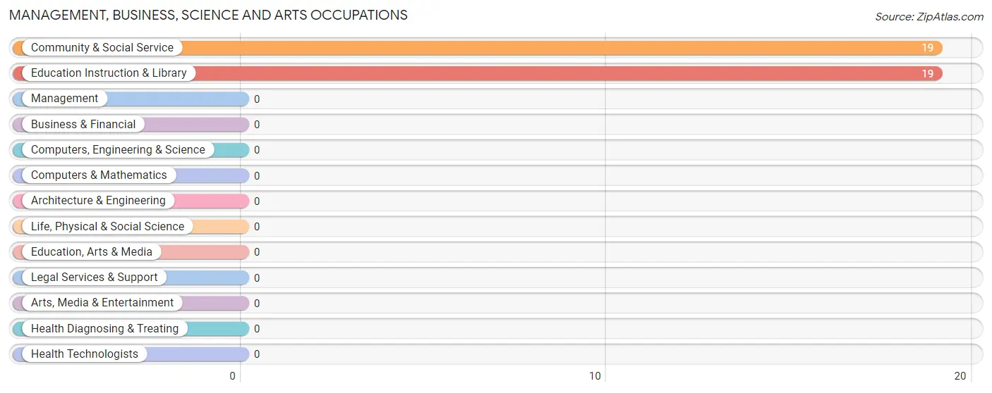 Management, Business, Science and Arts Occupations in Zip Code 93239