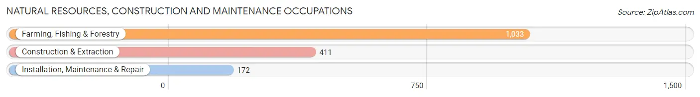 Natural Resources, Construction and Maintenance Occupations in Zip Code 93247