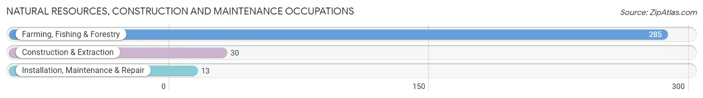 Natural Resources, Construction and Maintenance Occupations in Zip Code 93261