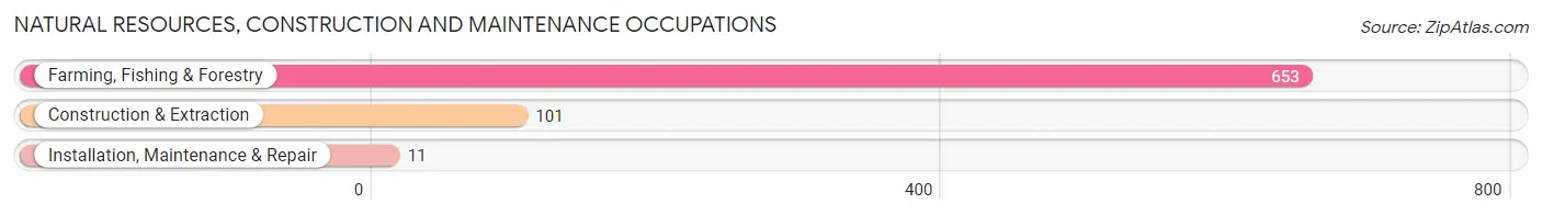 Natural Resources, Construction and Maintenance Occupations in Zip Code 93272