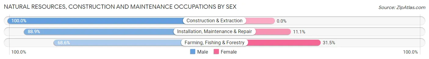 Natural Resources, Construction and Maintenance Occupations by Sex in Zip Code 93304