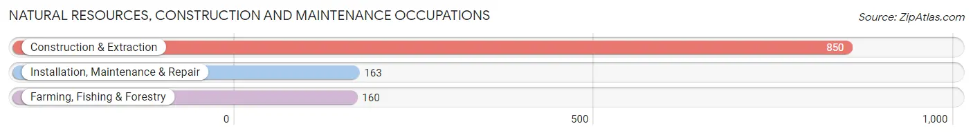 Natural Resources, Construction and Maintenance Occupations in Zip Code 93433