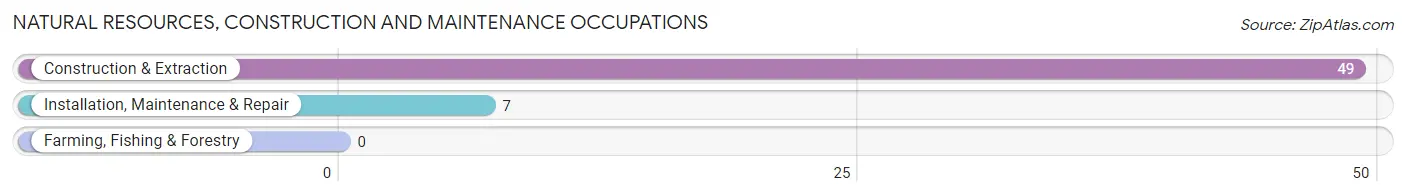 Natural Resources, Construction and Maintenance Occupations in Zip Code 93437