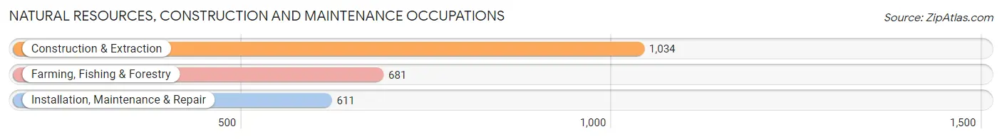 Natural Resources, Construction and Maintenance Occupations in Zip Code 93446