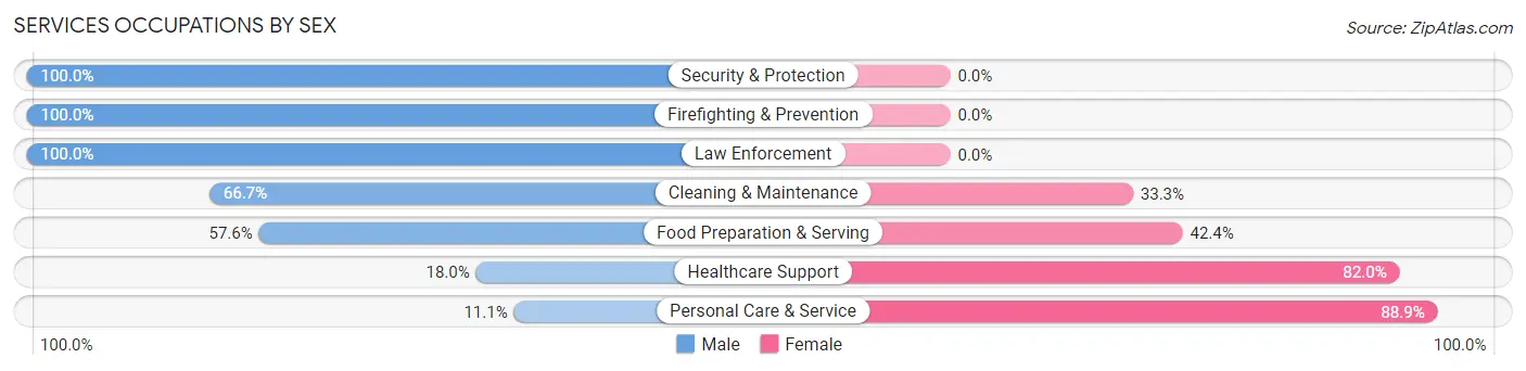 Services Occupations by Sex in Zip Code 93513