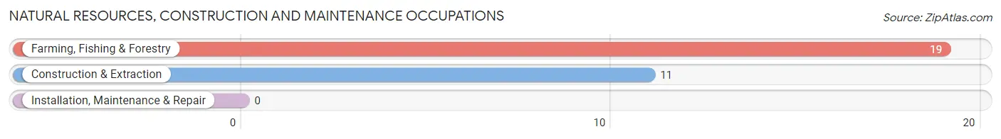 Natural Resources, Construction and Maintenance Occupations in Zip Code 93531