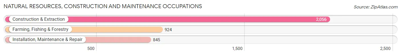 Natural Resources, Construction and Maintenance Occupations in Zip Code 93635