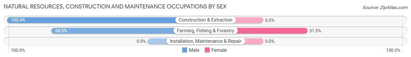 Natural Resources, Construction and Maintenance Occupations by Sex in Zip Code 93668