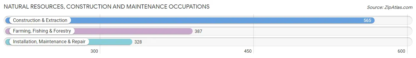 Natural Resources, Construction and Maintenance Occupations in Zip Code 93728