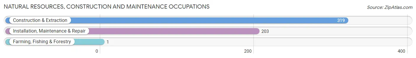 Natural Resources, Construction and Maintenance Occupations in Zip Code 94030