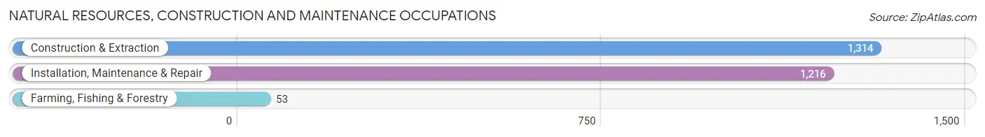 Natural Resources, Construction and Maintenance Occupations in Zip Code 94080