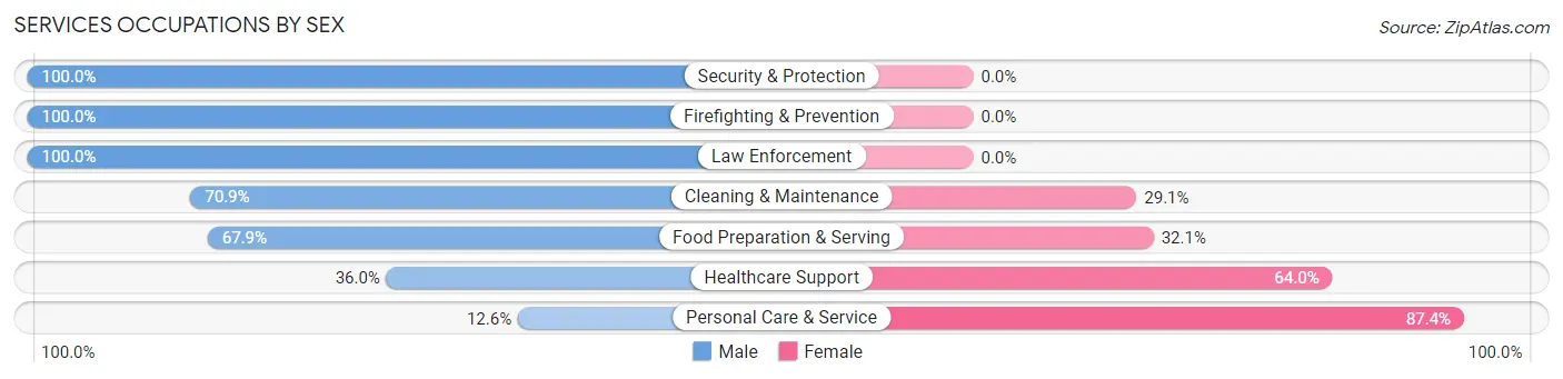 Services Occupations by Sex in Zip Code 94102