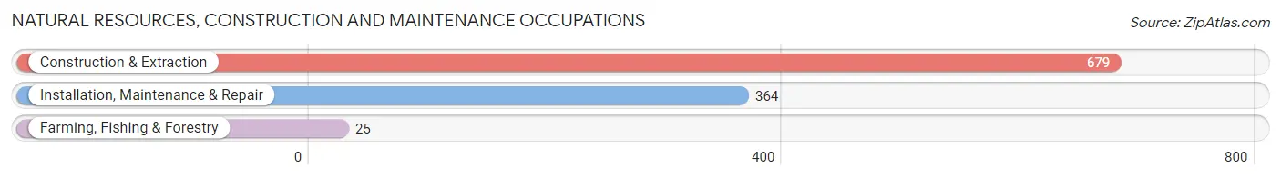 Natural Resources, Construction and Maintenance Occupations in Zip Code 94122