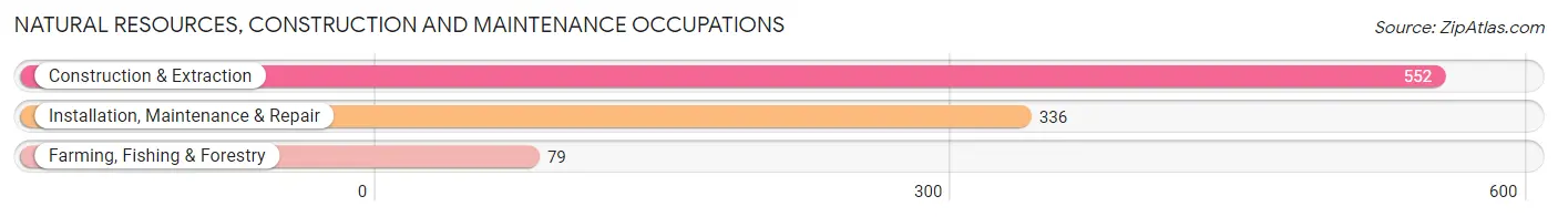 Natural Resources, Construction and Maintenance Occupations in Zip Code 94519