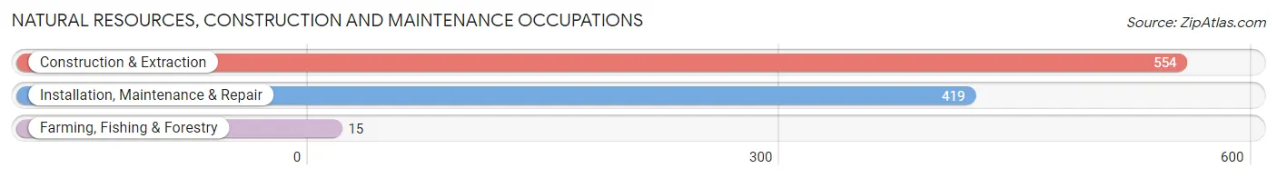 Natural Resources, Construction and Maintenance Occupations in Zip Code 94550