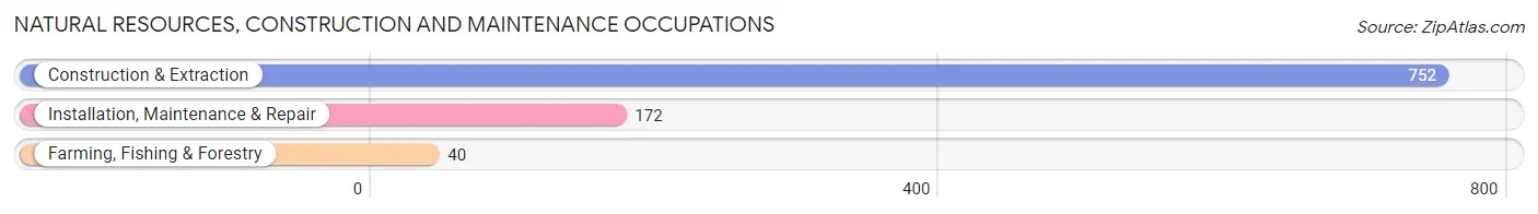 Natural Resources, Construction and Maintenance Occupations in Zip Code 94579